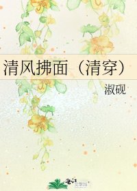 清风拂面（清穿）