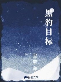 黑豹目标